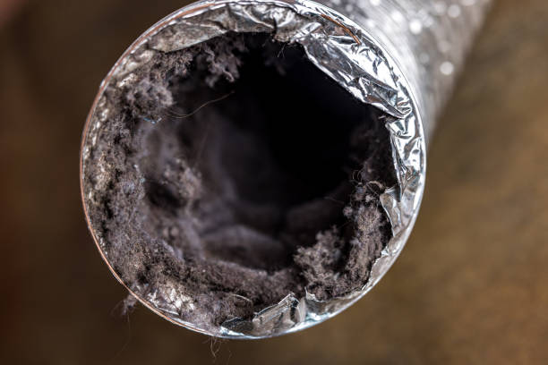Best Air Duct Cleaning Near Me  in Hampton, TN