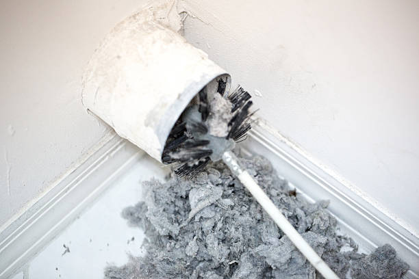 Best Professional Duct Cleaning Services  in Hampton, TN
